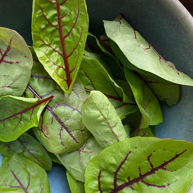 green leaves on blue ceramic bowl