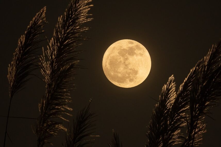 full moon