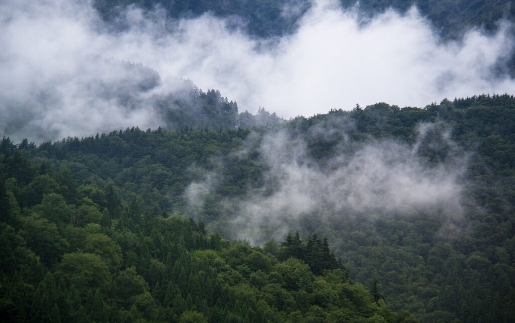green foggy mountain scenery