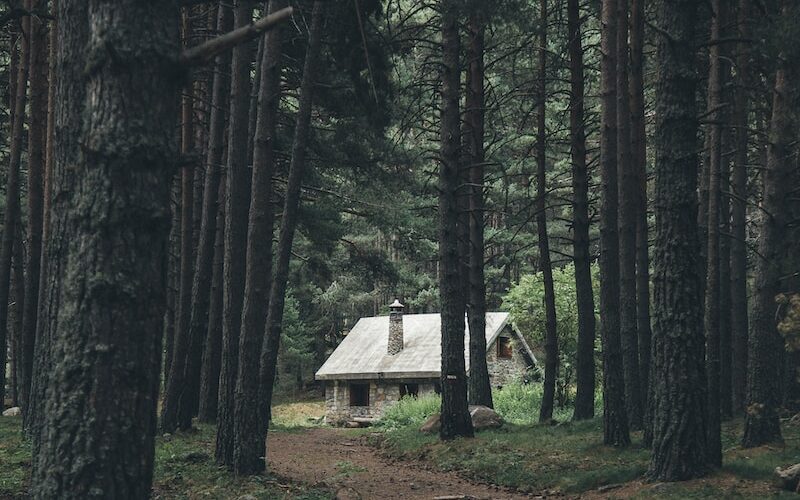 brown house surrounded with tree